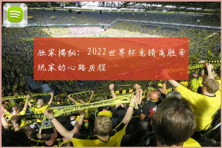 独家揭秘：2022世界杯竞猜高胜率玩家的心路历程