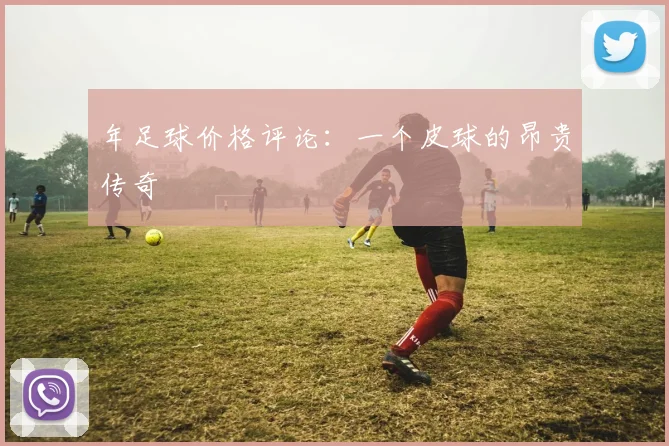 年足球价格评论：一个皮球的昂贵传奇