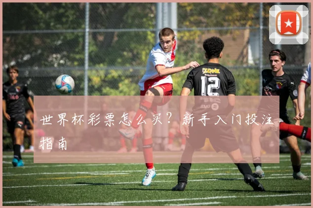 世界杯彩票怎么买？新手入门投注指南
