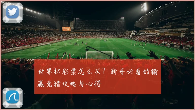 世界杯彩票怎么买？新手必看的输赢竞猜攻略与心得