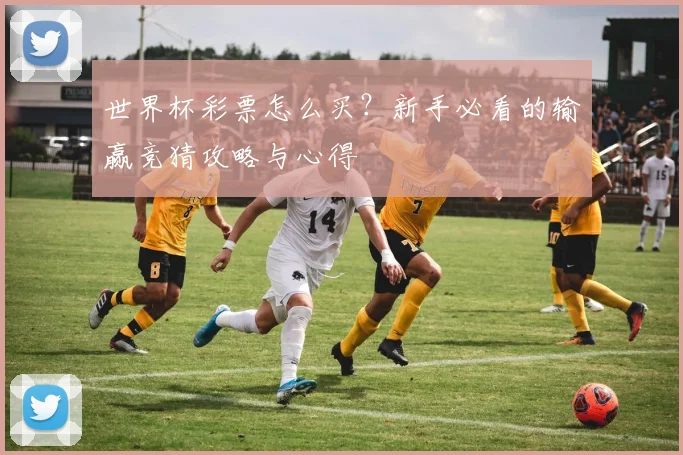 世界杯彩票怎么买？新手必看的输赢竞猜攻略与心得