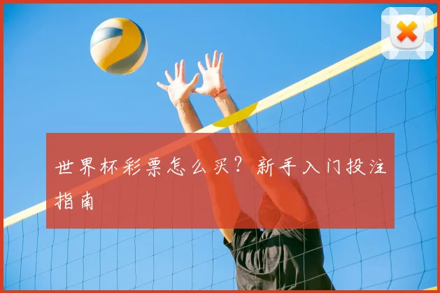 世界杯彩票怎么买？新手入门投注指南
