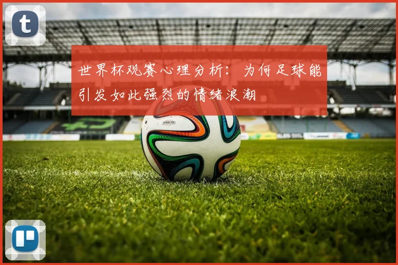 世界杯观赛心理分析：为何足球能引发如此强烈的情绪浪潮
